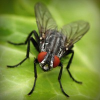 /album/minblogg-se/photolia-a01-jpg/