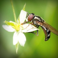 /album/minblogg-se/photolia-a02-jpg/