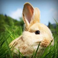 /album/minblogg-se/photolia-a03-jpg/