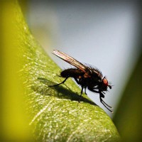 /album/minblogg-se/photolia-a04-jpg/