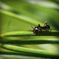 /album/minblogg-se/photolia-a05-jpg/