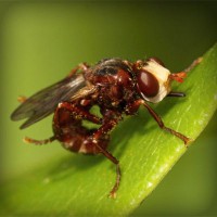 /album/minblogg-se/photolia-a06-jpg/