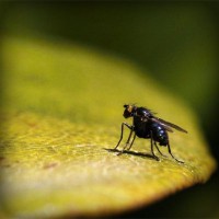 /album/minblogg-se/photolia-a07-jpg/