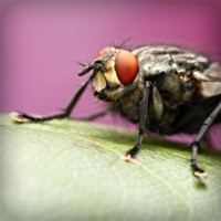 /album/minblogg-se/photolia-a08-jpg/